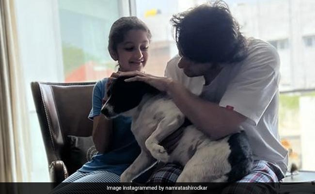 Namrata Shirodkar "Caught Off-Guard" By Mahesh Babu And Daughter Sitara