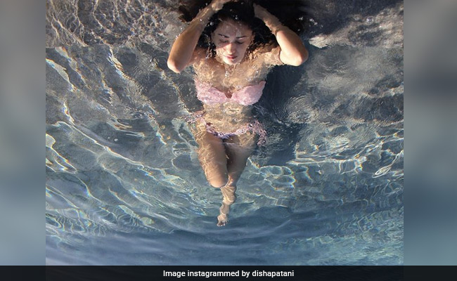 Viral : Disha Patani Shares New Pic From Maldives
