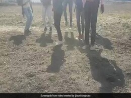 Viral Video: बिना भूकंप के स्पंज की तरह हिलती है ज़मीन, ये चमत्कार नहीं कुछ और है Viral Video: बिना भूकंप के स्पंज की तरह हिलती है ज़मीन, ये चमत्कार नहीं कुछ और है