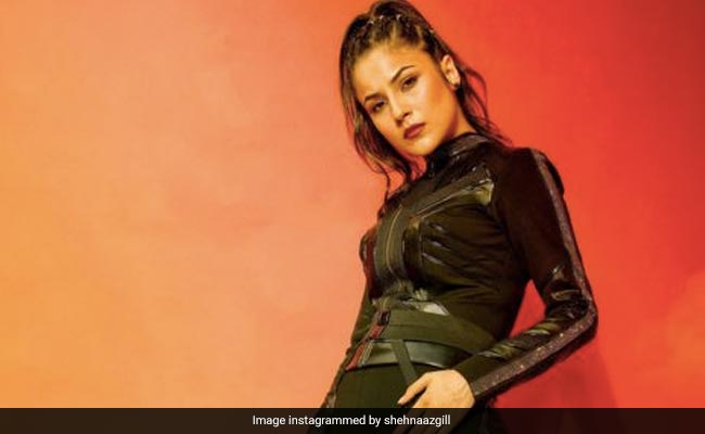 सोशल मीडिया पर छाया शहनाज गिल का धाकड़ लुक, फैंस बोले- शेर की शेरनी नाज