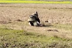 6 Bombs Recovered In Bengal's Murshidabad, 1 Arrested 6 Bombs Recovered In Bengal's Murshidabad, 1 Arrested