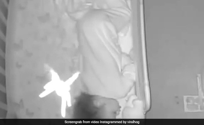 गहरी नींद में सो रहे बच्चे के ऊपर गिरी मकड़ी, मां को कैमरे में दिखा खतरनाक नजारा