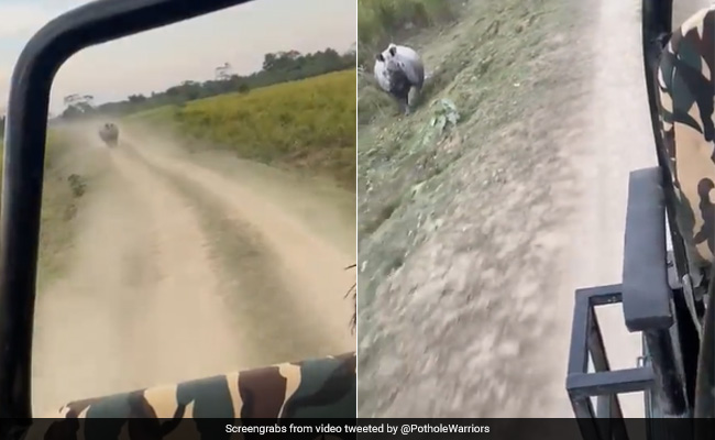 काजीरंगा पार्क में जंगल सफारी का लुत्फ उठा रहे थे टूरिस्ट, गुस्सैल गैंडे ने दो किलोमीटर तक दौड़ाया