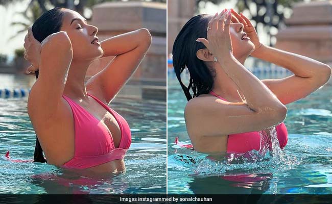 Sonal Chauhan In A Pink Swimsuit Adds A Chic Pop Of Colour To Our Day