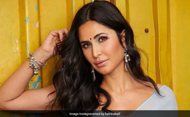 साड़ी में खूब जंचती हैं Katrina Kaif, इन लुक्स से बना चुकी हैं दीवाना- देखें फोटो