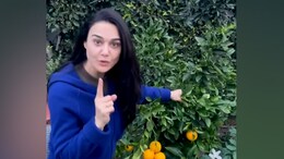 Preity Zinta Shares A Picture Of Her 'Ghar Ki Keti' And It's All Things Fresh And Summery