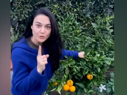 Preity Zinta Shares A Picture Of Her 'Ghar Ki Keti' And It's All Things Fresh And Summery