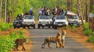 Short Road Trips from Delhi NCR that you can take During Weekends