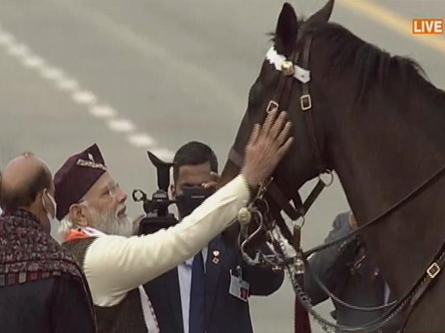 Virat, Elite Horse Of President's Guard, Retires; Gets Pat From President, PM