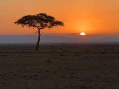 Alia Bhatt Beautifully Captures Sunset In A "Shaky Time-lapse Video"