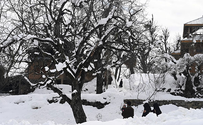 Kashmir Witnesses Fresh Snowfall, Srinagar At 2.2 Degrees