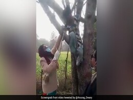 Funny Video: कोरोना वैक्सीन के डर से पेड़ पर चढ़ गई लड़की, कहती है- हम नहीं लगवाएंगे Funny Video: कोरोना वैक्सीन के डर से पेड़ पर चढ़ गई लड़की, कहती है- हम नहीं लगवाएंगे
