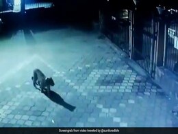 CCTV में कैद: Mumbai के गोरेगांव की गोकुलधाम सोसायटी में दिखा तेंदुआ, लोग खौफ में CCTV में कैद: Mumbai के गोरेगांव की गोकुलधाम सोसायटी में दिखा तेंदुआ, लोग खौफ में