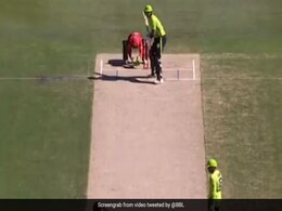 Watch: Cameron Boyce Scripts History With Unbelievable Double Hat-Trick For Melbourne Renegades In BBL Watch: Cameron Boyce Scripts History With Unbelievable Double Hat-Trick For Melbourne Renegades In BBL