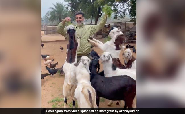 मुर्गियों और बकरियों के बीच घिरे दिखे Akshay Kumar, Video शेयर कर बोले- मिलती है खुशी