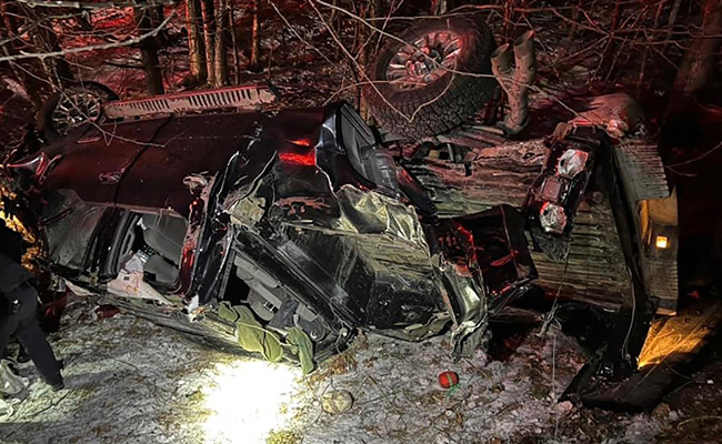 "Guardian Angel": Dog Leads Cops To Owner's Crashed Car Site