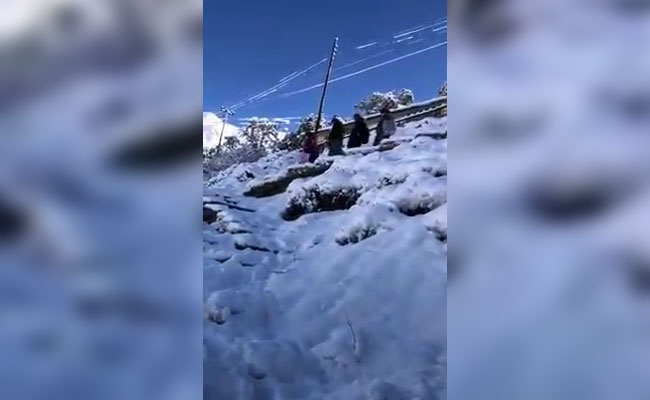Watch: In Himachal, Health Workers Brave Snow To Deliver On Vaccine Promise