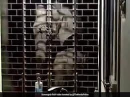 हाथी ने अपने बच्चे के साथ पुलिस स्टेशन पर कर दिया हमला, फिर हुआ कुछ ऐसा - देखें Shocking Video हाथी ने अपने बच्चे के साथ पुलिस स्टेशन पर कर दिया हमला, फिर हुआ कुछ ऐसा - देखें Shocking Video