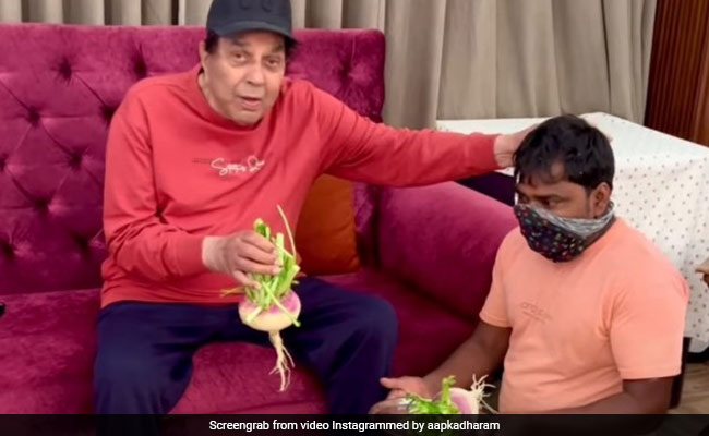 Dharmendra ने दिखाई अपने खेत की ताजी शलजम, बोले- मेरे पिता जी को बेहद पसंद थी, लेकिन हमें तो पसंद हैं...
