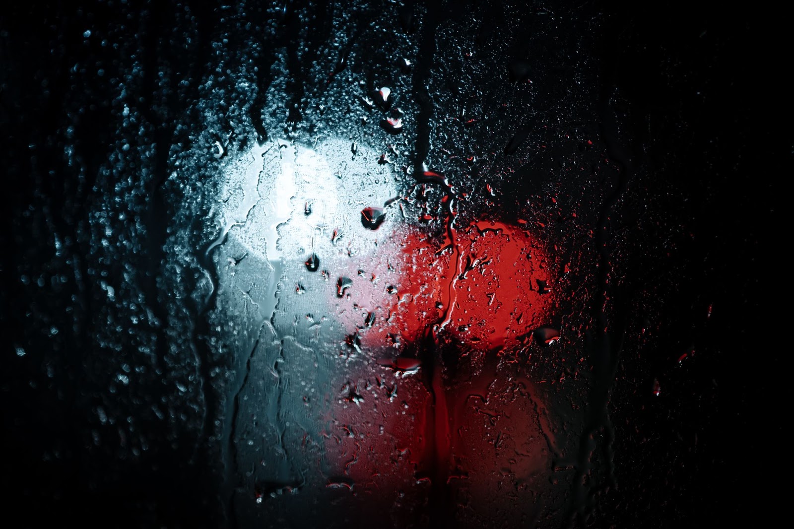 Tips And Tricks For Defogging Your Car Throughout the Year