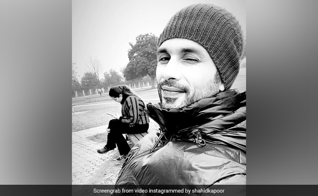 शाहिद कपूर ने खोला मीरा कपूर के पहले प्यार का राज, बीवी ने ऐसे किया रिएक्ट