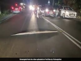 Watch: Huge Python Brings Traffic To A Standstill In Kochi Watch: Huge Python Brings Traffic To A Standstill In Kochi
