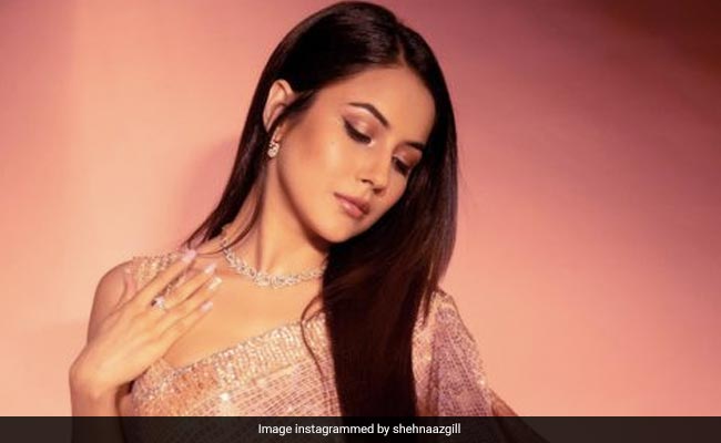 Shehnaaz Gill Is "Making A Wish Come True". See Post