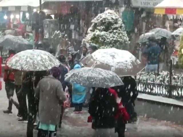 Fresh Snowfall In Manali Brings Cheer To Tourists
