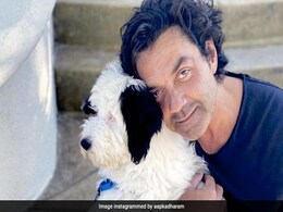 धर्मेद्र ने शेयर की बेटे बॉबी देओल और उनके पेट की ये PHOTO, फैंस से पूछा अनोखा सवाल धर्मेद्र ने शेयर की बेटे बॉबी देओल और उनके पेट की ये PHOTO, फैंस से पूछा अनोखा सवाल