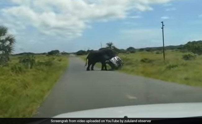 गुस्सैल हाथी ने पलट दी लोगों से भरी कार, वीडियो देख सहम गए लोग