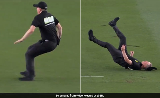 बिग बैश लीग फाइनल में देखिए कैसे अंपायर हुए 'चित', VIDEO देख नहीं रुकेगी हंसी