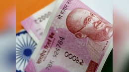 Opinion | How The Economic Survey Redefines India's Growth Constraints