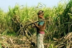 What Farmers Expect From Budget 2022 What Farmers Expect From Budget 2022