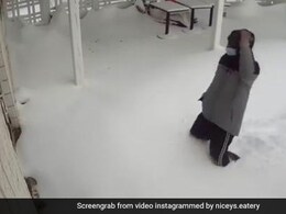 Canada Man's Reaction To A Closed Restaurant Has Left The Internet In Splits