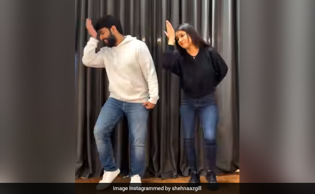 Viral: Shehnaaz Gill And Yashraj Mukhate In A Not So "Boring" Video