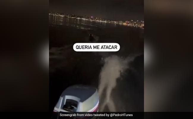 Watch: Mysterious Sea Creature With Glowing Eyes Chases Fisherman