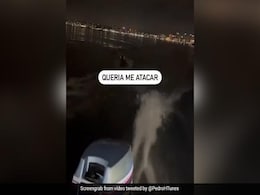 चमकीली आंखों वाले रहस्यमयी समुद्री जीव ने किया बोट पर बैठे मछुआरे का पीछा और फिर... - देखें Video चमकीली आंखों वाले रहस्यमयी समुद्री जीव ने किया बोट पर बैठे मछुआरे का पीछा और फिर... - देखें Video