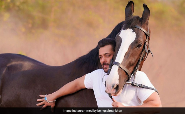 Security Scare At Salman Khan's Panvel Farmhouse, 2 Arrested With Fake IDs