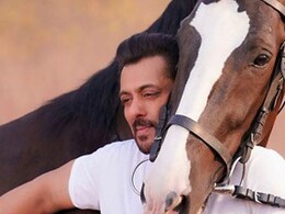 सलमान खान के फार्महाउस में घुस रहे थे 2 लोग, फर्जी आईडी कार्ड के साथ गिरफ्तार सलमान खान के फार्महाउस में घुस रहे थे 2 लोग, फर्जी आईडी कार्ड के साथ गिरफ्तार