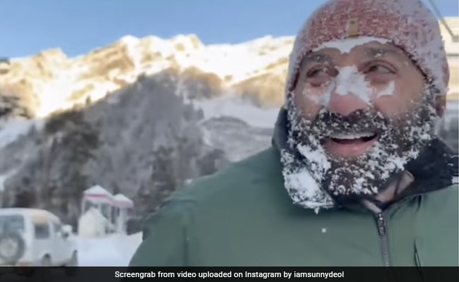 Sunny Deol's "Icing On The Cake" Moment From Manali. See Here