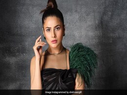 Shehnaaz Gill Is 'Black' With A Bang With Her Recent Photoshoot In A Stylish LBD Shehnaaz Gill Is 'Black' With A Bang With Her Recent Photoshoot In A Stylish LBD