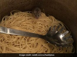 Man Finds A Mouse In Noodles; Reddit Has Hilarious Responses To His Situation, Find Out Why