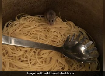 Man Finds A Mouse In Noodles; Reddit Has Hilarious Responses To His Situation, Find Out Why Man Finds A Mouse In Noodles; Reddit Has Hilarious Responses To His Situation, Find Out Why