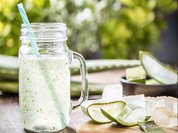 Weight Loss: एलोवेरा इस तरह करता है आपके मोटापे को कम, आप भी असर देख कर रह जाएंगे दंग   Weight Loss: एलोवेरा इस तरह करता है आपके मोटापे को कम, आप भी असर देख कर रह जाएंगे दंग