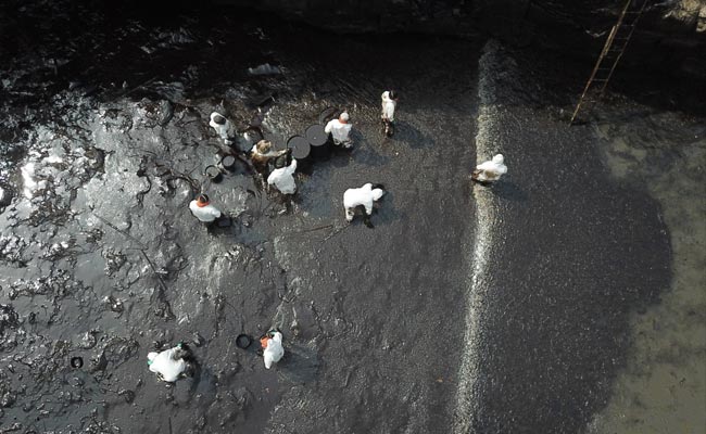 How Tonga Eruption Caused An "Environmental Emergency" In This Country