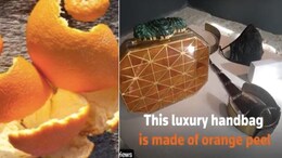 Believe It Or Not, This Luxury Bag Is Made Of Orange Peels