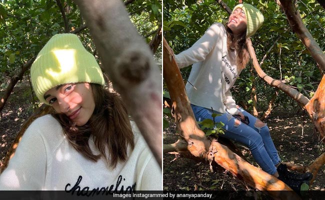 Ananya Panday's Cosy Ranthambore Style Includes A Sweater, Ripped Jeans And A Beanie