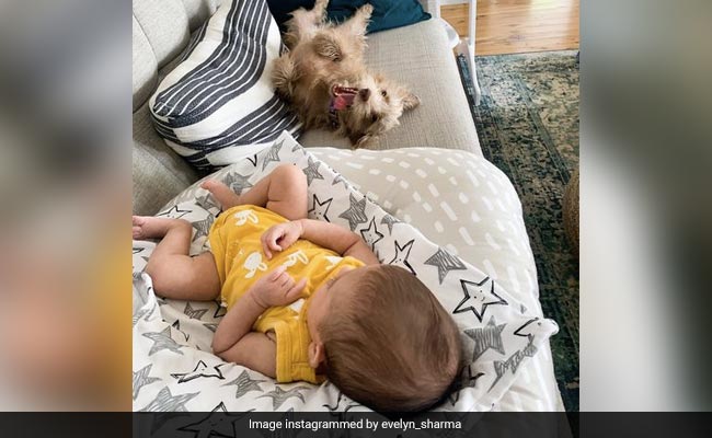 Evelyn Sharma Shares Photos Of "Two Little Goofballs" - One Is Daughter Ava