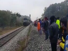 One Elephant Killed, Another Injured After Being Hit By Speeding Train In Assam One Elephant Killed, Another Injured After Being Hit By Speeding Train In Assam