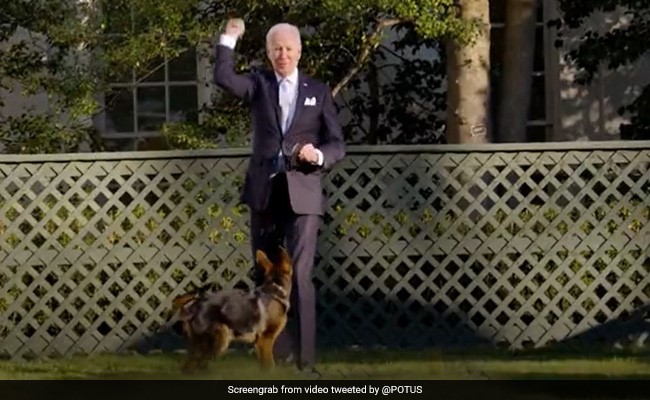 Pets, Press And Christmas: How Joe Biden Changed The White House